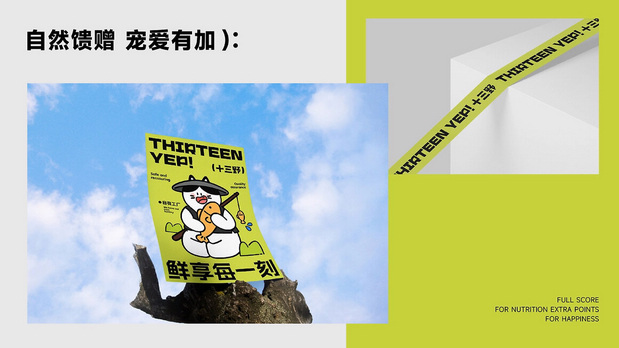 十三野 宠物零食品牌全案设计