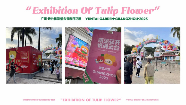 趣传大世界®X云台花园