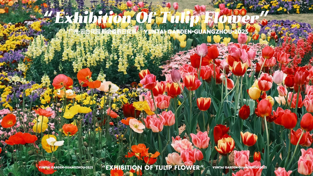 趣传大世界®X云台花园