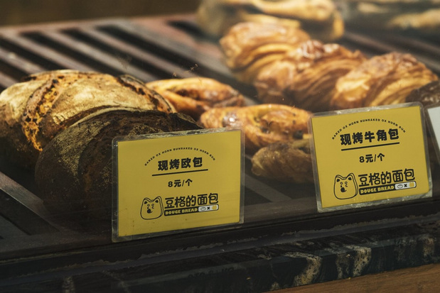 嗷呜豆格的面VI品牌视觉设计