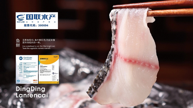 叮叮懒人菜 LOGO 包装