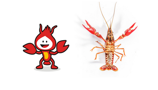 行若/龙小甲品牌形象