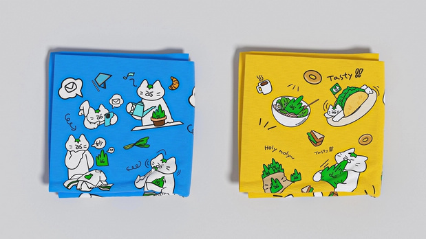 和“猫猫草草”一起拥抱忙碌世界