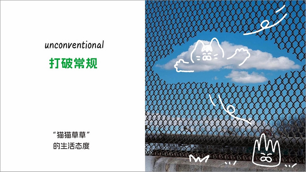 和“猫猫草草”一起拥抱忙碌世界