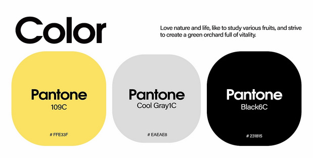 果雨吧-鲜萃果汁品牌策略全案