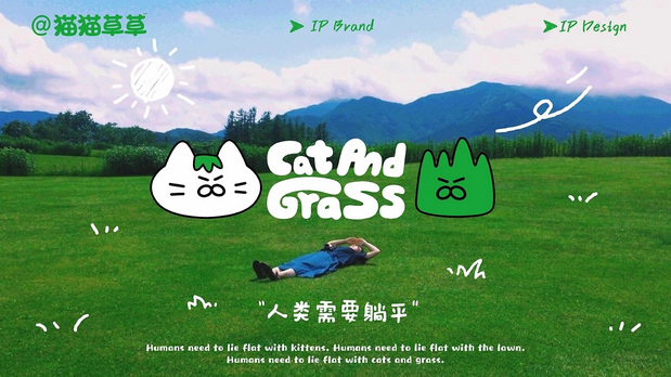 和“猫猫草草”一起拥抱忙碌世界