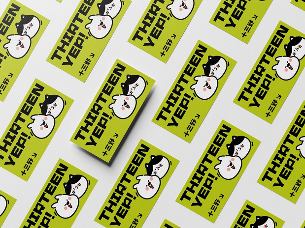 十三野 宠物零食品牌全案设计