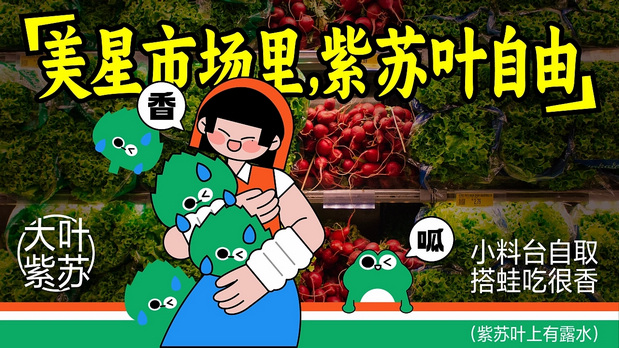 大美星牛蛙市场×灵感兽