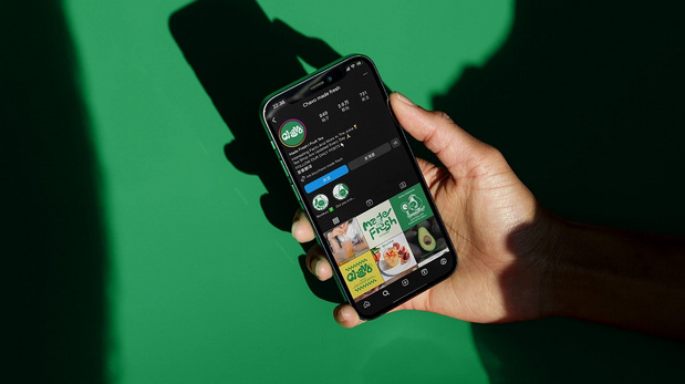 新加坡果茶Chavo品牌设计