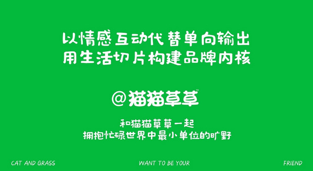 和“猫猫草草”一起拥抱忙碌世界