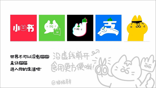 和“猫猫草草”一起拥抱忙碌世界