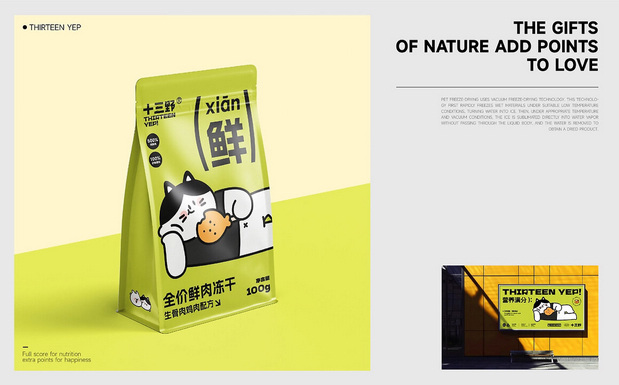 十三野 宠物零食品牌全案设计
