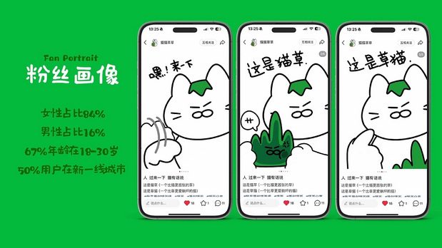 和“猫猫草草”一起拥抱忙碌世界