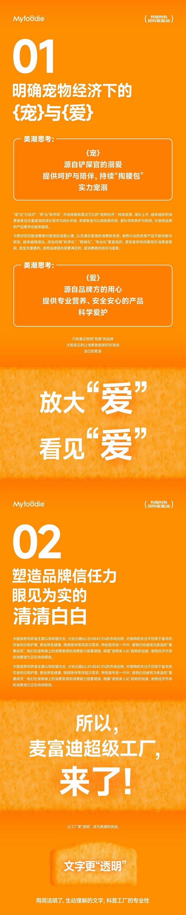 麦富迪品牌IP塑造|美潮案例