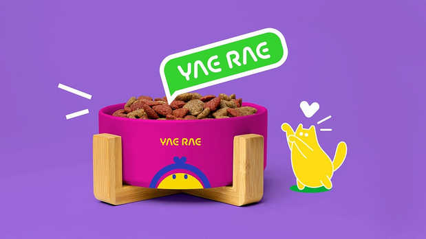 悦睿品牌形象打造1