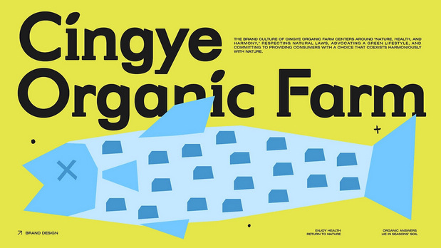 Cingye青野有机农场品牌设计