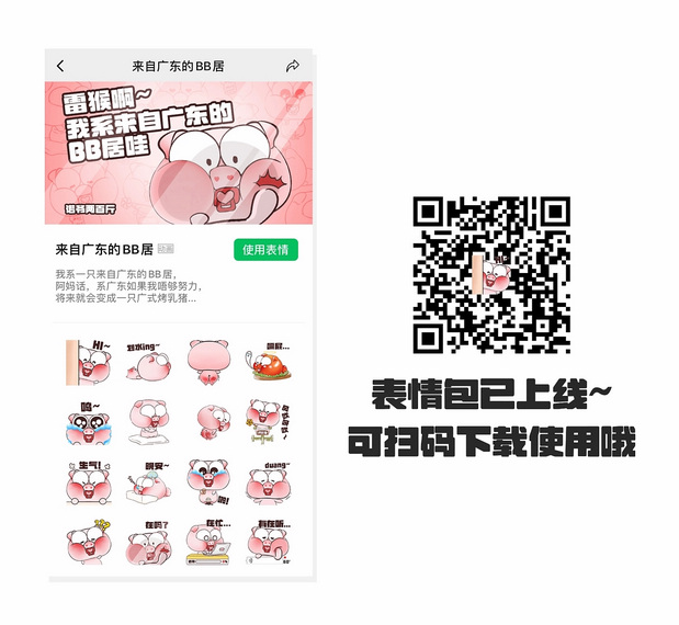 一只在广东出生的猪