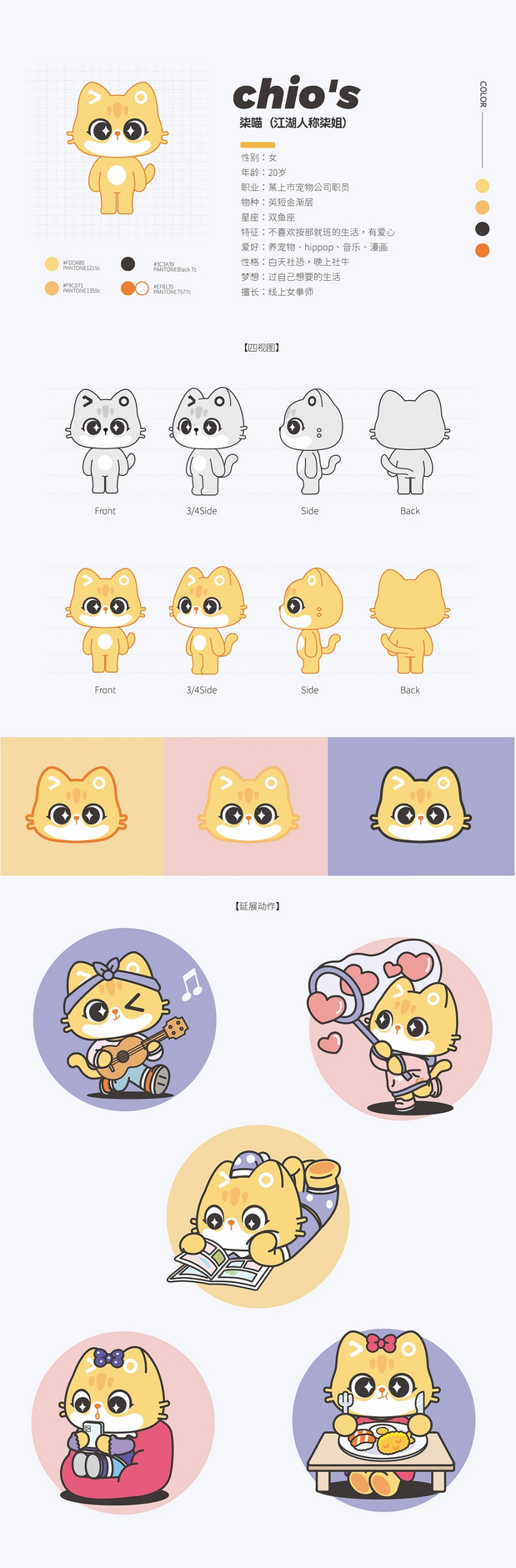 柒哦宠物猫猫IP角色设计