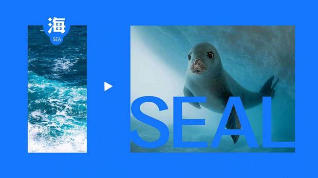 花呗IP设计（落选版）