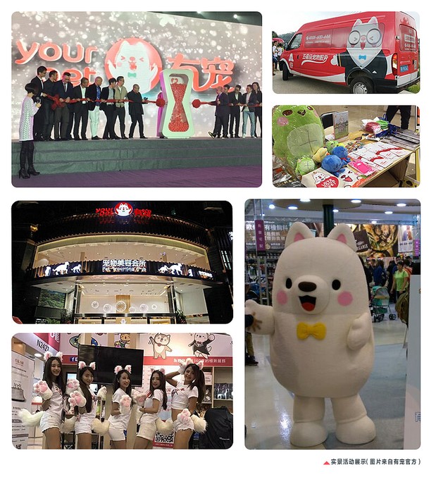 Yourpet有宠-IP形象设计