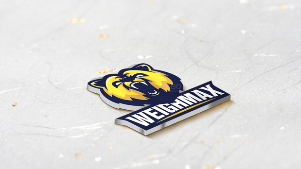 weighmax美国家电品牌