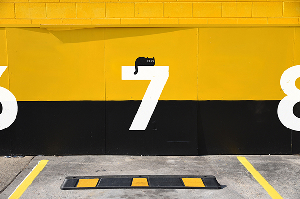 Petbarn—宠物专业零售商