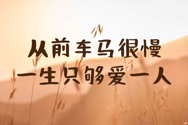 何某手写体