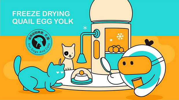 悦睿品牌形象打造2