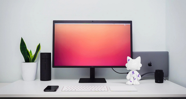 LUCKY MICO幸运咪可潮流IP设计