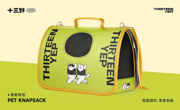 十三野 宠物零食品牌全案设计