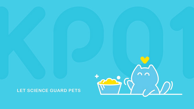 悦睿品牌形象打造2