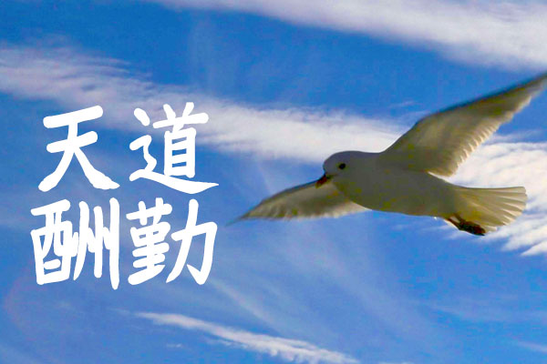 YOz毛笔体