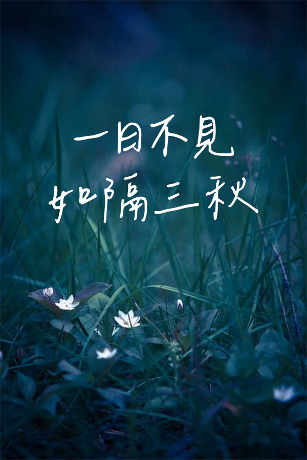 辰宇落雁体
