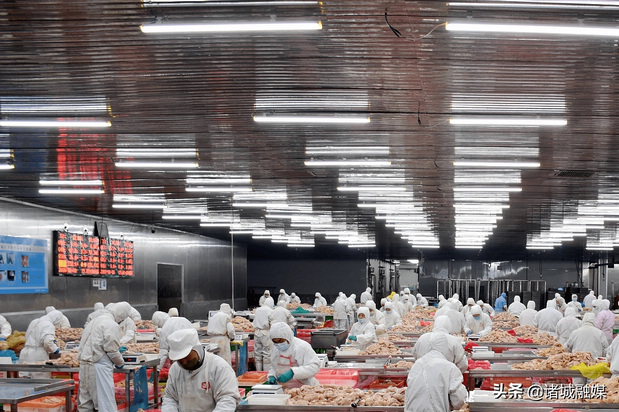 月出5万单的憨小绅预制菜