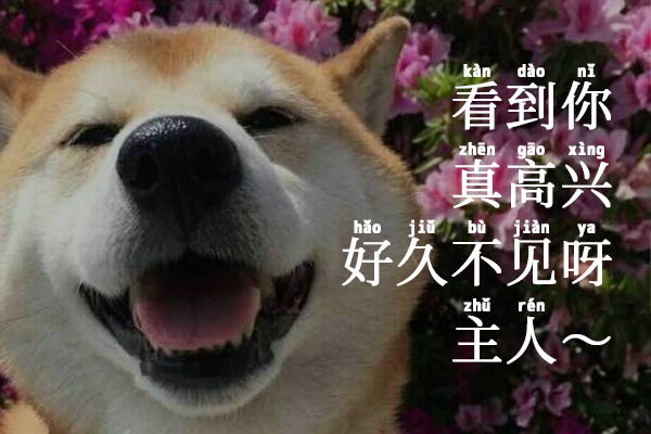 萌神拼音体