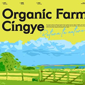 Cingye青野有机农场品牌设计 /><img fetchpriority=