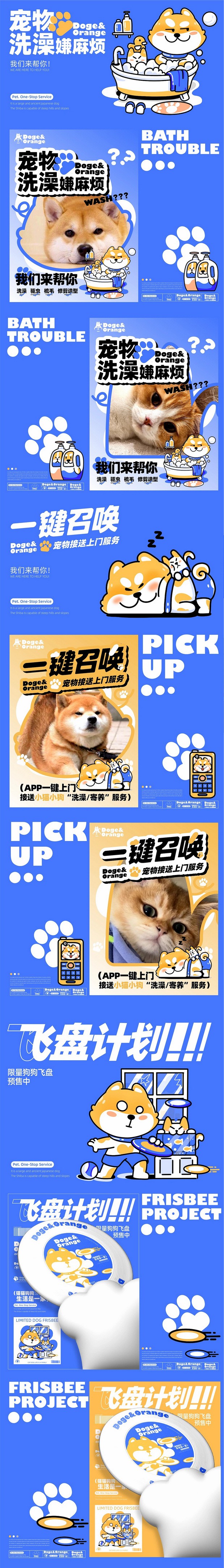 小啊柴与大橘 宠物品牌IP全案