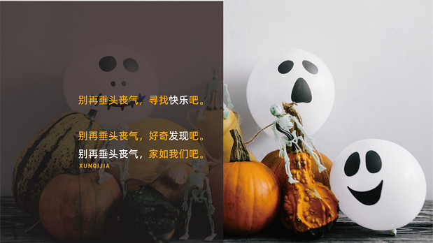 寻奇家IP设计!品牌VI设计全案