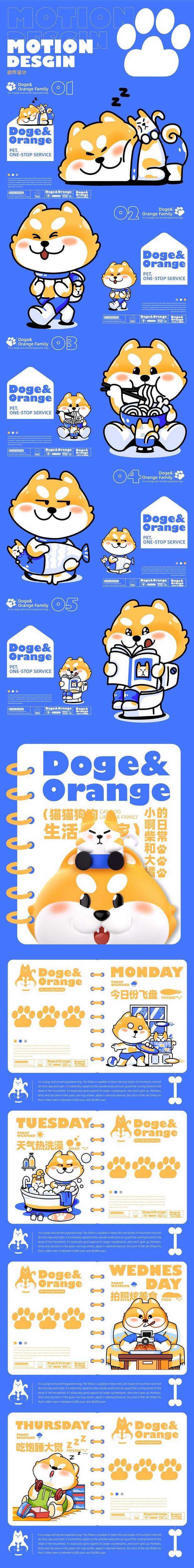 小啊柴与大橘 宠物品牌IP全案