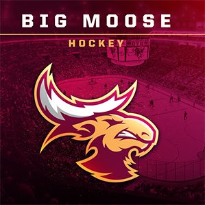 BIG MOOSE HOCKEY /><img fetchpriority=