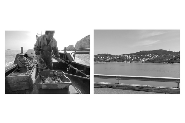 东海五渔村吉祥物设计-海河豚