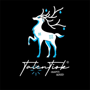 Logos Collection-图形图标 /><img fetchpriority=