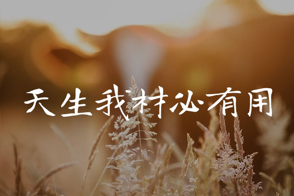 有字库龙藏体