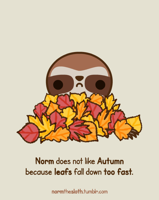 Norm The Hyperactive