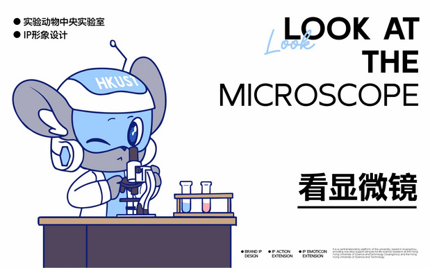 中央实验室IP全案打造