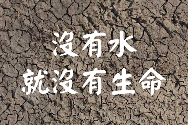 刻石录颜体