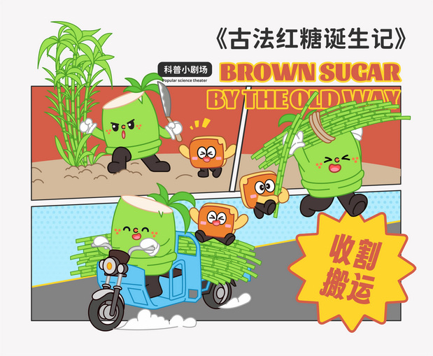 百年蔗IP形象设计|松溪县