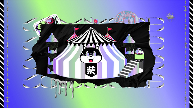 柴八游乐园 有范宠物潮牌