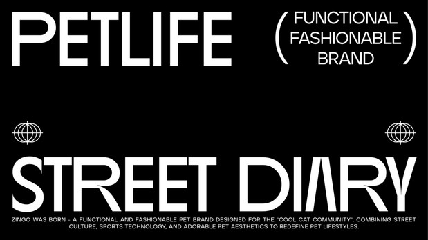 ZINGO闪喵 | 品牌设计