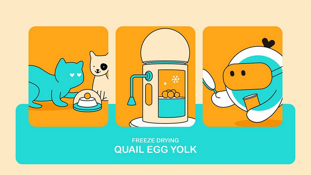 悦睿品牌形象打造2